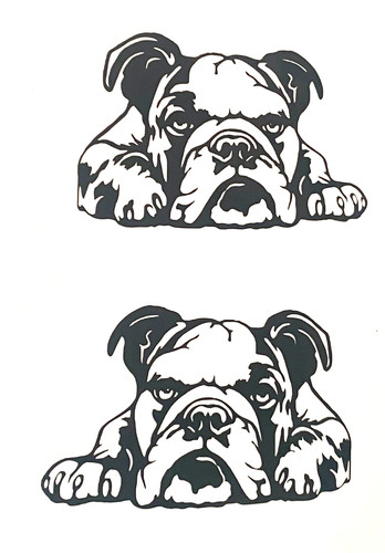 English bulldog dog vinyl - english,