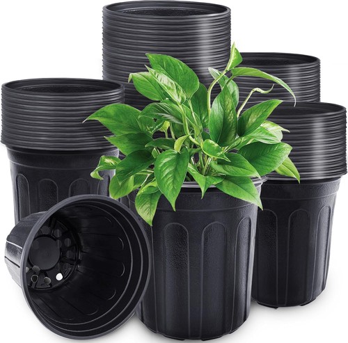 Pcs gallon plant nursery - pcs, 1