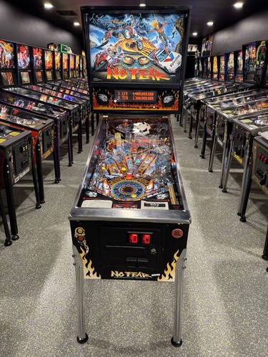 Fear pinball machine - no,