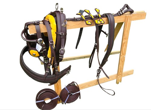 Leather tiedown driving cart - driving,