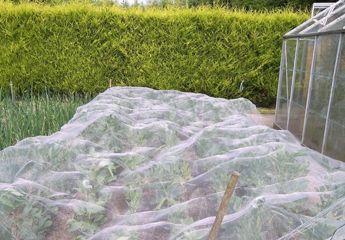 Enviromesh fine insect garden - enviromesh,