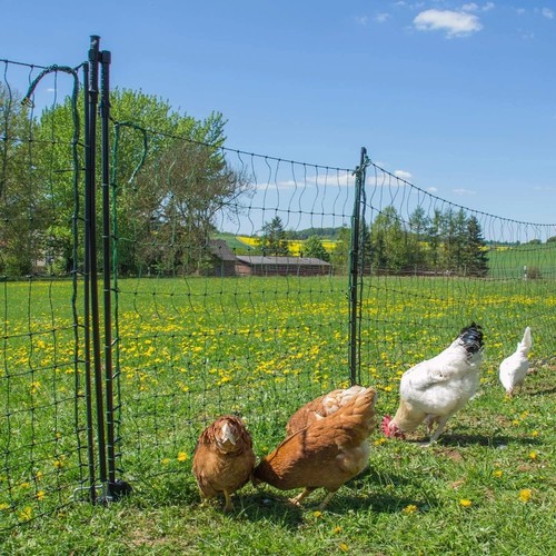Hotline flexible poultry - flexible,