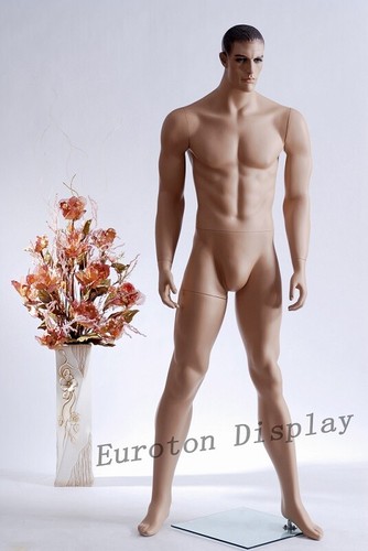 Male mannequin display figure - male,