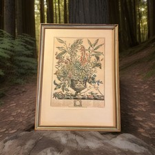 Vintage Engraving January of Flowers by Henry Fletcher (1674-1756) 60x45cm