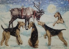 Airedale Terrier Christmas Cards By Ann Curran Of Ragtail