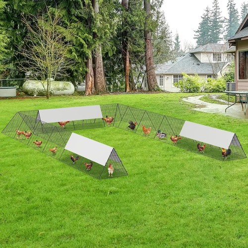 Chicken tunnels for outside - for,