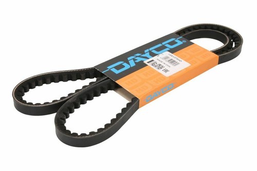 Dayco day13a1375hd belt - dayco, oe