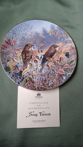 Song thrush coalport bird - thrush,