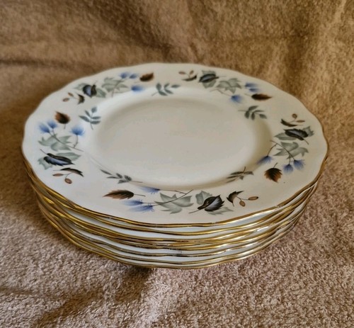 Eight vintage colclough - vintage,