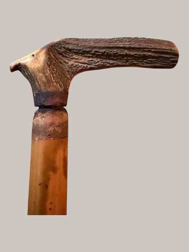 Antique deer antler mounted - antique,