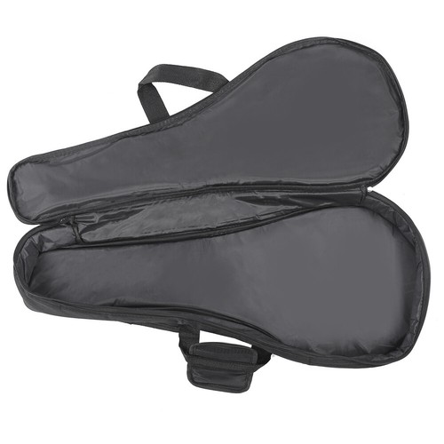Mandolin case gig - mandolin,