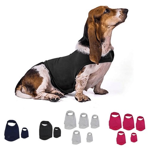Dog solicitude fear - dog,