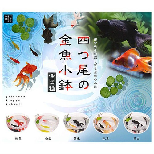 Four tailed goldfish - four-tailed, small