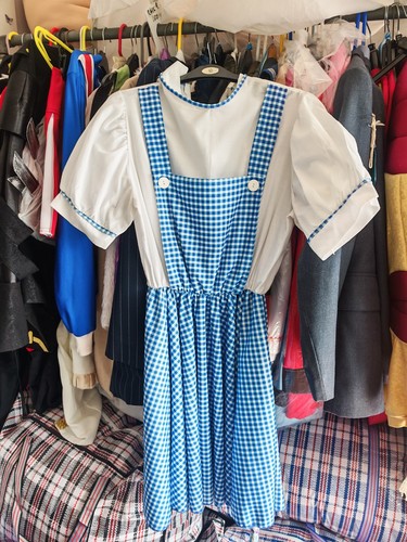 Wizard dorothy adult - oz,
