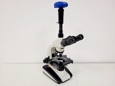 Prior PX033 Compound