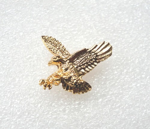 Small biker motorcycle - small, eagle