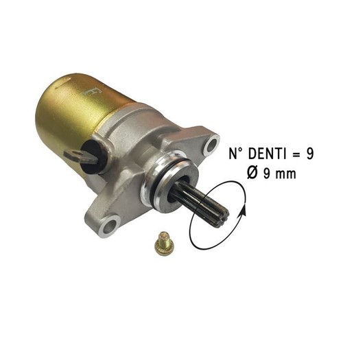 Starter motor teeth - motor,