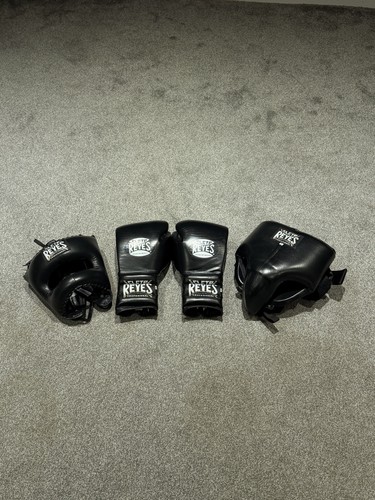Cleto reyes full sparring set - sparring,