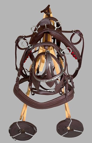Leather carriage driving - carriage,