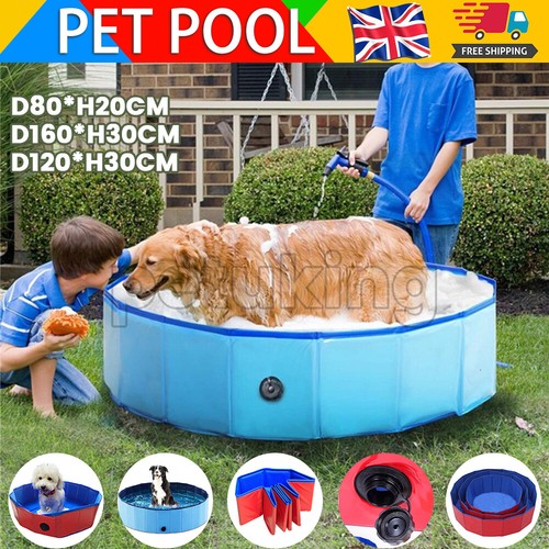Large dog pet - xx-large, swimming