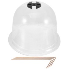 Nursery Cover Plants