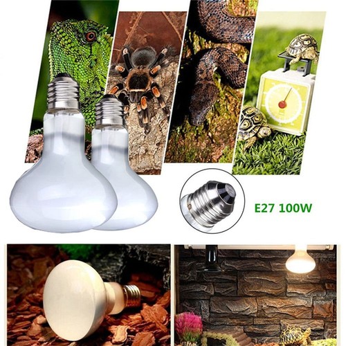 1pc 100w uva - 1pc,