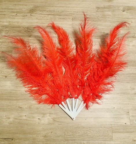 Red ostrich feather - , fan