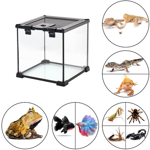 Reptile glass terrarium - glass,