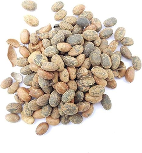 Jamalgota seeds traditionally - jamalgota,