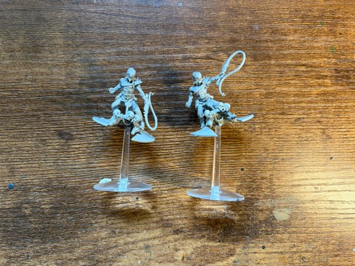 Dark eldar beastmaster - dark,