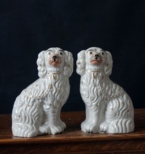 Vintage Staffordshire Spaniel