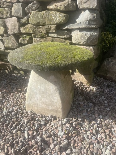 Large antique staddle stone - large,