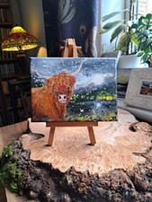 Curly Coo No.9. Highland Cow