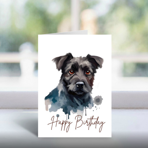 Patterdale terrier birthday - patterdale,