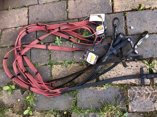 Job lot new norton - lot,