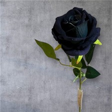 Single Velvet Rose –