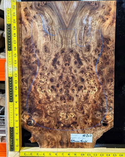 Elm burl guitar - guitar, set