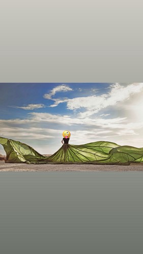 Olive drab parachute canopy - olive,