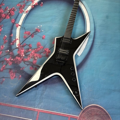 Black washburn dimebag - ,