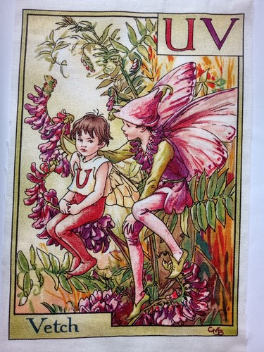 Vetch alphabet letters - alphabet,