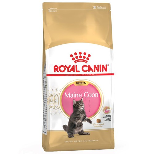 Royal canin maine coon - canin,