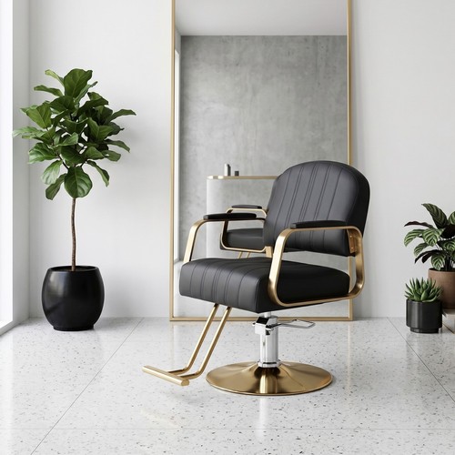 Salon barber chair hydraulic - salon,