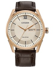 Citizen Men's Eco-Drive