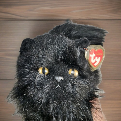 Onyx cat realistic black - onyx,
