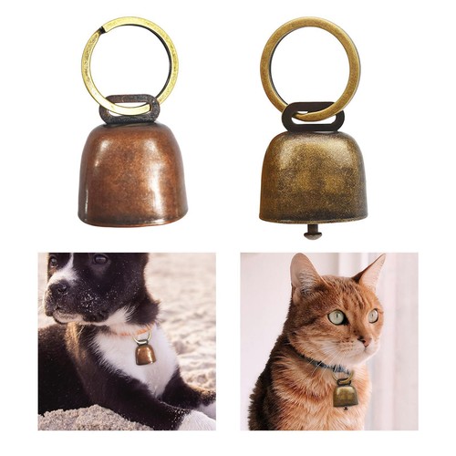 Grazing bell cow horse - bell,
