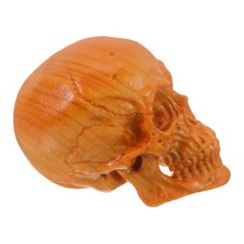  Decorative Skull Head Model Hand-Carved Miniature Skull Head Statue For Home