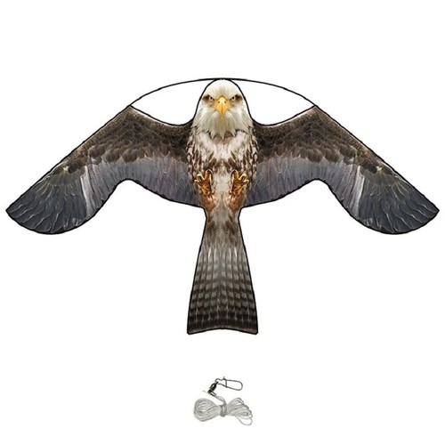 Laptony bird scarer flying - bird,