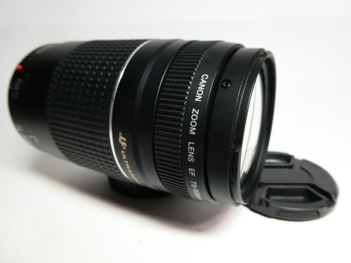 Canon 300mm 5 6 iii - ef, 75-300mm