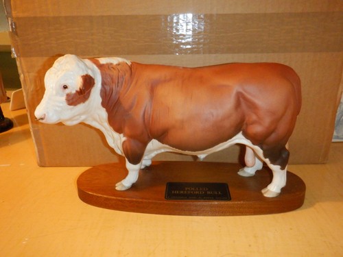 Beswick polled hereford bull - beswick,