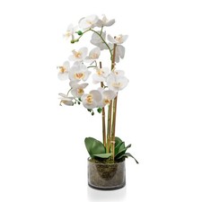 White Artificial Orchid Plant Gold Pot 60cm Real Touch Petals